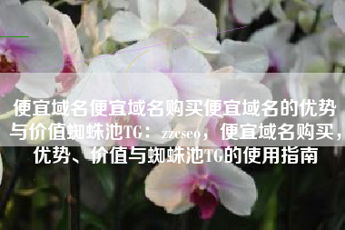 便宜域名便宜域名购买便宜域名的优势与价值蜘蛛池TG：zzcseo，便宜域名购买，优势、价值与蜘蛛池TG的使用指南