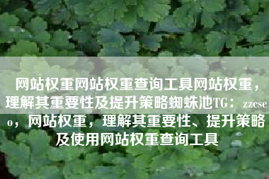 网站权重网站权重查询工具网站权重，理解其重要性及提升策略蜘蛛池TG：zzcseo，网站权重，理解其重要性、提升策略及使用网站权重查询工具