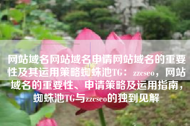 网站域名网站域名申请网站域名的重要性及其运用策略蜘蛛池TG：zzcseo，网站域名的重要性、申请策略及运用指南，蜘蛛池TG与zzcseo的独到见解