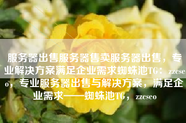 服务器出售服务器售卖服务器出售，专业解决方案满足企业需求蜘蛛池TG：zzcseo，专业服务器出售与解决方案，满足企业需求——蜘蛛池TG，zzcseo