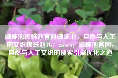 蜘蛛池蜘蛛池官网蜘蛛池，自然与人工的交织蜘蛛池TG：zzcseo，蜘蛛池官网，自然与人工交织的搜索引擎优化之道