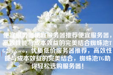 便宜服务器便宜服务器推荐便宜服务器，高效性能与成本效益的完美结合蜘蛛池TG：zzcseo，优质低价服务器推荐，高效性能与成本效益的完美结合，蜘蛛池TG助你轻松选购服务器！