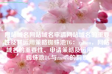 网站域名网站域名申请网站域名的重要性及其运用策略蜘蛛池TG：zzcseo，网站域名的重要性、申请策略及运用指南，蜘蛛池TG与zzcseo的洞察