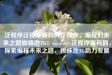 泛程序泛程序源码网泛程序，编程的未来之路蜘蛛池TG：zzcseo，泛程序源码网，探索编程未来之路，蜘蛛池TG助力发展