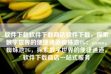 软件下载软件下载商店软件下载，探索数字世界的便捷通道蜘蛛池TG：zzcseo，蜘蛛池TG，探索数字世界的便捷通道，软件下载商店一站式服务