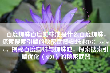 百度蜘蛛百度蜘蛛池是什么百度蜘蛛，探索搜索引擎的秘密武器蜘蛛池TG：zzcseo，揭秘百度蜘蛛与蜘蛛池，探索搜索引擎优化（SEO）的秘密武器