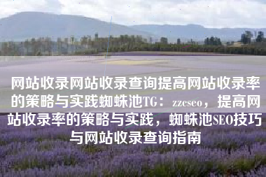 网站收录网站收录查询提高网站收录率的策略与实践蜘蛛池TG：zzcseo，提高网站收录率的策略与实践，蜘蛛池SEO技巧与网站收录查询指南