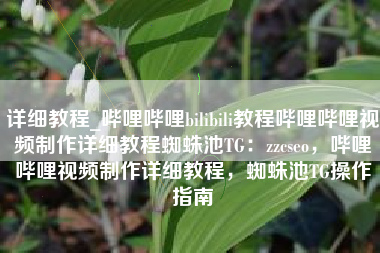 详细教程_哔哩哔哩bilibili教程哔哩哔哩视频制作详细教程蜘蛛池TG：zzcseo，哔哩哔哩视频制作详细教程，蜘蛛池TG操作指南