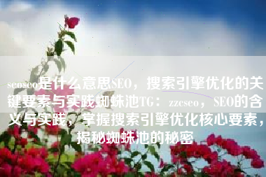 seoseo是什么意思SEO，搜索引擎优化的关键要素与实践蜘蛛池TG：zzcseo，SEO的含义与实践，掌握搜索引擎优化核心要素，揭秘蜘蛛池的秘密