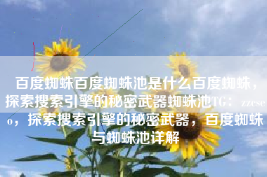 百度蜘蛛百度蜘蛛池是什么百度蜘蛛，探索搜索引擎的秘密武器蜘蛛池TG：zzcseo，探索搜索引擎的秘密武器，百度蜘蛛与蜘蛛池详解