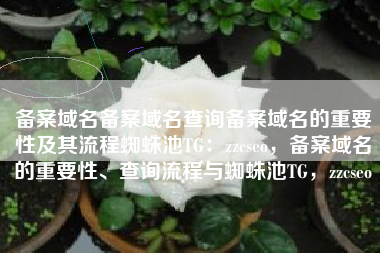 备案域名备案域名查询备案域名的重要性及其流程蜘蛛池TG：zzcseo，备案域名的重要性、查询流程与蜘蛛池TG，zzcseo