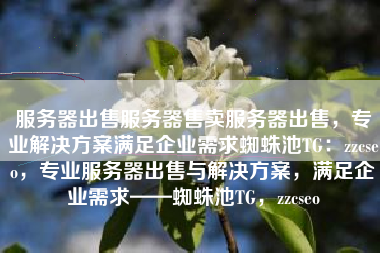 服务器出售服务器售卖服务器出售，专业解决方案满足企业需求蜘蛛池TG：zzcseo，专业服务器出售与解决方案，满足企业需求——蜘蛛池TG，zzcseo