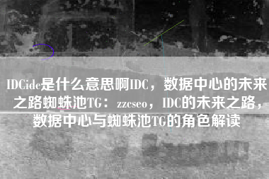 IDCidc是什么意思啊IDC，数据中心的未来之路蜘蛛池TG：zzcseo，IDC的未来之路，数据中心与蜘蛛池TG的角色解读