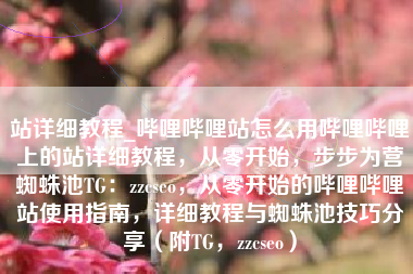 站详细教程_哔哩哔哩站怎么用哔哩哔哩上的站详细教程，从零开始，步步为营蜘蛛池TG：zzcseo，从零开始的哔哩哔哩站使用指南，详细教程与蜘蛛池技巧分享（附TG，zzcseo）