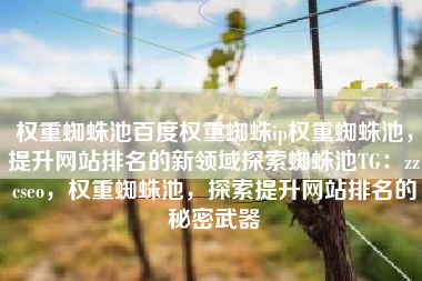 权重蜘蛛池百度权重蜘蛛ip权重蜘蛛池，提升网站排名的新领域探索蜘蛛池TG：zzcseo，权重蜘蛛池，探索提升网站排名的秘密武器