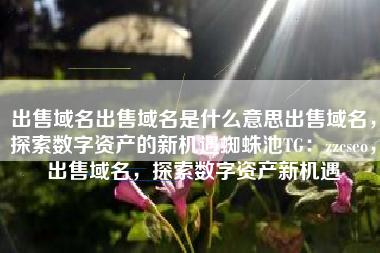 出售域名出售域名是什么意思出售域名，探索数字资产的新机遇蜘蛛池TG：zzcseo，出售域名，探索数字资产新机遇
