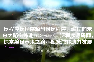 泛程序泛程序源码网泛程序，编程的未来之路蜘蛛池TG：zzcseo，泛程序源码网，探索编程未来之路，蜘蛛池TG助力发展