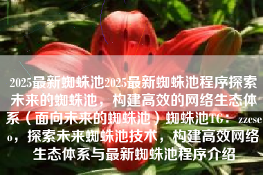 2025最新蜘蛛池2025最新蜘蛛池程序探索未来的蜘蛛池，构建高效的网络生态体系（面向未来的蜘蛛池）蜘蛛池TG：zzcseo，探索未来蜘蛛池技术，构建高效网络生态体系与最新蜘蛛池程序介绍