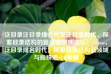 泛目录泛目录排名代发泛目录时代，探索目录结构的新领域蜘蛛池TG：zzcseo，泛目录排名时代，探索目录结构新领域与蜘蛛池SEO策略