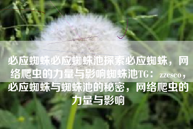 必应蜘蛛必应蜘蛛池探索必应蜘蛛，网络爬虫的力量与影响蜘蛛池TG：zzcseo，必应蜘蛛与蜘蛛池的秘密，网络爬虫的力量与影响