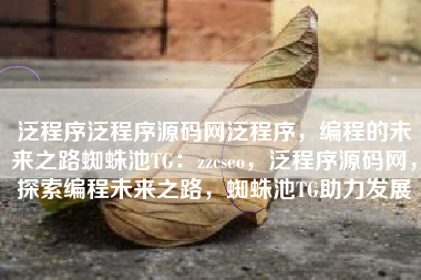 泛程序泛程序源码网泛程序，编程的未来之路蜘蛛池TG：zzcseo，泛程序源码网，探索编程未来之路，蜘蛛池TG助力发展