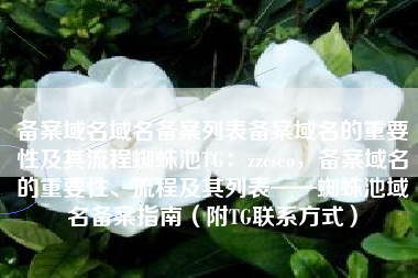 备案域名域名备案列表备案域名的重要性及其流程蜘蛛池TG：zzcseo，备案域名的重要性、流程及其列表——蜘蛛池域名备案指南（附TG联系方式）