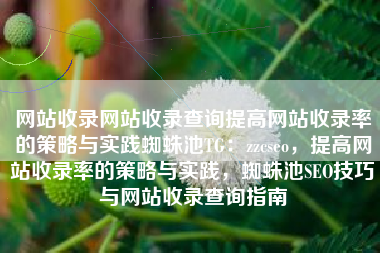 网站收录网站收录查询提高网站收录率的策略与实践蜘蛛池TG：zzcseo，提高网站收录率的策略与实践，蜘蛛池SEO技巧与网站收录查询指南