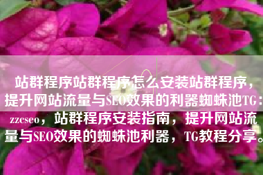 站群程序站群程序怎么安装站群程序，提升网站流量与SEO效果的利器蜘蛛池TG：zzcseo，站群程序安装指南，提升网站流量与SEO效果的蜘蛛池利器，TG教程分享。