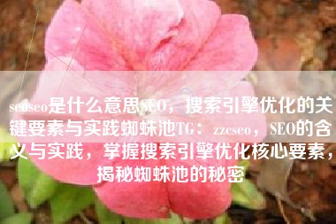 seoseo是什么意思SEO，搜索引擎优化的关键要素与实践蜘蛛池TG：zzcseo，SEO的含义与实践，掌握搜索引擎优化核心要素，揭秘蜘蛛池的秘密