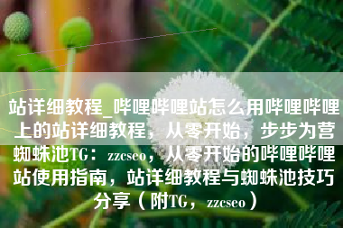 站详细教程_哔哩哔哩站怎么用哔哩哔哩上的站详细教程，从零开始，步步为营蜘蛛池TG：zzcseo，从零开始的哔哩哔哩站使用指南，站详细教程与蜘蛛池技巧分享（附TG，zzcseo）