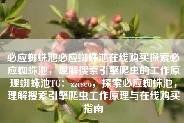 必应蜘蛛池必应蜘蛛池在线购买探索必应蜘蛛池，理解搜索引擎爬虫的工作原理蜘蛛池TG：zzcseo，探索必应蜘蛛池，理解搜索引擎爬虫工作原理与在线购买指南