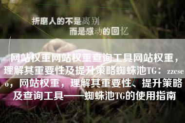 网站权重网站权重查询工具网站权重，理解其重要性及提升策略蜘蛛池TG：zzcseo，网站权重，理解其重要性、提升策略及查询工具——蜘蛛池TG的使用指南