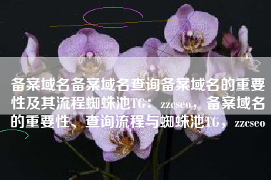 备案域名备案域名查询备案域名的重要性及其流程蜘蛛池TG：zzcseo，备案域名的重要性、查询流程与蜘蛛池TG，zzcseo