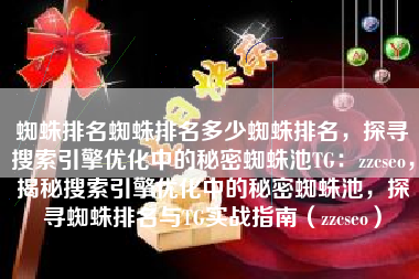 蜘蛛排名蜘蛛排名多少蜘蛛排名，探寻搜索引擎优化中的秘密蜘蛛池TG：zzcseo，揭秘搜索引擎优化中的秘密蜘蛛池，探寻蜘蛛排名与TG实战指南（zzcseo）