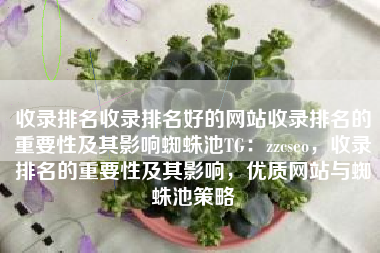 收录排名收录排名好的网站收录排名的重要性及其影响蜘蛛池TG：zzcseo，收录排名的重要性及其影响，优质网站与蜘蛛池策略
