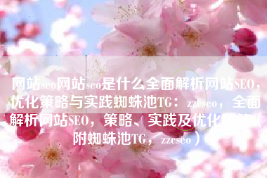 网站seo网站seo是什么全面解析网站SEO，优化策略与实践蜘蛛池TG：zzcseo，全面解析网站SEO，策略、实践及优化秘籍（附蜘蛛池TG，zzcseo）