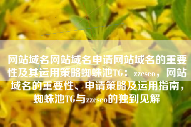 网站域名网站域名申请网站域名的重要性及其运用策略蜘蛛池TG：zzcseo，网站域名的重要性、申请策略及运用指南，蜘蛛池TG与zzcseo的独到见解
