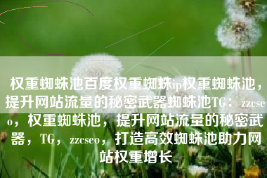 权重蜘蛛池百度权重蜘蛛ip权重蜘蛛池，提升网站流量的秘密武器蜘蛛池TG：zzcseo，权重蜘蛛池，提升网站流量的秘密武器，TG，zzcseo，打造高效蜘蛛池助力网站权重增长