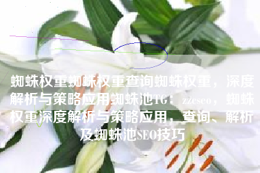 蜘蛛权重蜘蛛权重查询蜘蛛权重，深度解析与策略应用蜘蛛池TG：zzcseo，蜘蛛权重深度解析与策略应用，查询、解析及蜘蛛池SEO技巧
