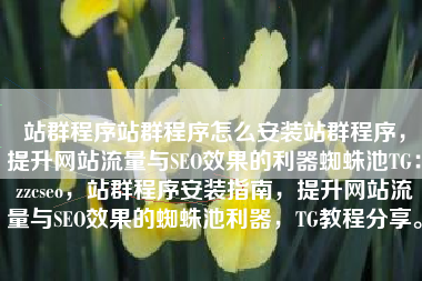 站群程序站群程序怎么安装站群程序，提升网站流量与SEO效果的利器蜘蛛池TG：zzcseo，站群程序安装指南，提升网站流量与SEO效果的蜘蛛池利器，TG教程分享。
