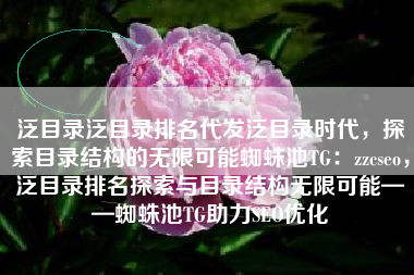 泛目录泛目录排名代发泛目录时代，探索目录结构的无限可能蜘蛛池TG：zzcseo，泛目录排名探索与目录结构无限可能——蜘蛛池TG助力SEO优化