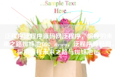泛程序泛程序源码网泛程序，编程的未来之路蜘蛛池TG：zzcseo，泛程序源码网，探索编程未来之路与蜘蛛池TG