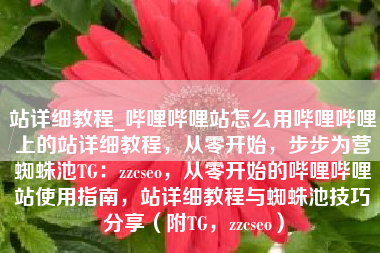 站详细教程_哔哩哔哩站怎么用哔哩哔哩上的站详细教程，从零开始，步步为营蜘蛛池TG：zzcseo，从零开始的哔哩哔哩站使用指南，站详细教程与蜘蛛池技巧分享（附TG，zzcseo）