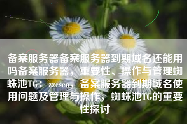 备案服务器备案服务器到期域名还能用吗备案服务器，重要性、操作与管理蜘蛛池TG：zzcseo，备案服务器到期域名使用问题及管理与操作，蜘蛛池TG的重要性探讨