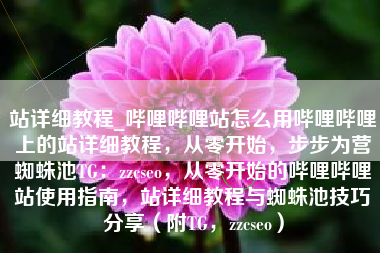 站详细教程_哔哩哔哩站怎么用哔哩哔哩上的站详细教程，从零开始，步步为营蜘蛛池TG：zzcseo，从零开始的哔哩哔哩站使用指南，站详细教程与蜘蛛池技巧分享（附TG，zzcseo）