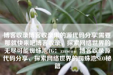 博客收录博客收录集的源代码分享,需要那就快来吧博客收录，探索网络世界的无尽可能蜘蛛池TG：zzcseo，博客收录源代码分享，探索网络世界的蜘蛛池SEO秘籍