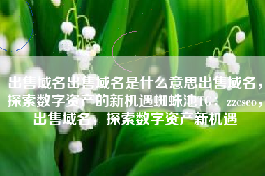 出售域名出售域名是什么意思出售域名，探索数字资产的新机遇蜘蛛池TG：zzcseo，出售域名，探索数字资产新机遇
