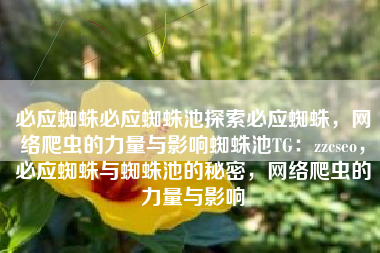 必应蜘蛛必应蜘蛛池探索必应蜘蛛，网络爬虫的力量与影响蜘蛛池TG：zzcseo，必应蜘蛛与蜘蛛池的秘密，网络爬虫的力量与影响