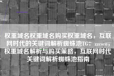 权重域名权重域名购买权重域名，互联网时代的关键词解析蜘蛛池TG：zzcseo，权重域名解析与购买策略，互联网时代关键词解析蜘蛛池指南