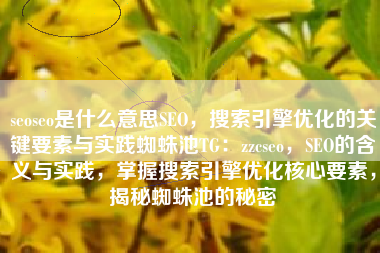 seoseo是什么意思SEO，搜索引擎优化的关键要素与实践蜘蛛池TG：zzcseo，SEO的含义与实践，掌握搜索引擎优化核心要素，揭秘蜘蛛池的秘密